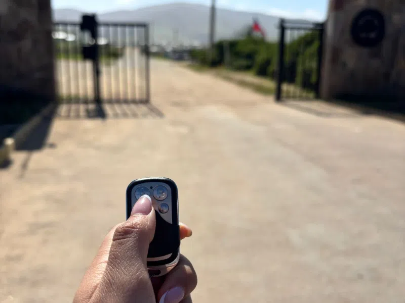 Fundo Los Maitenes 1