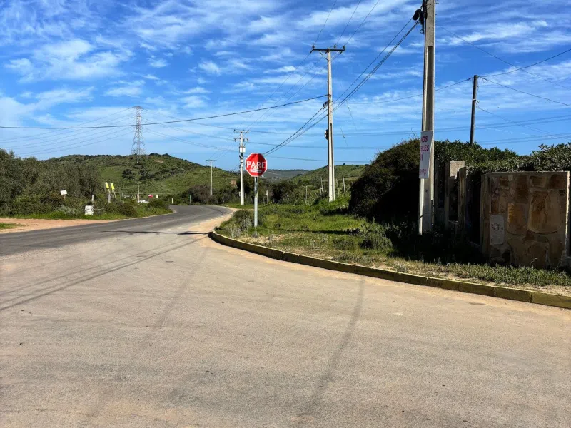 Fundo Los Maitenes 2