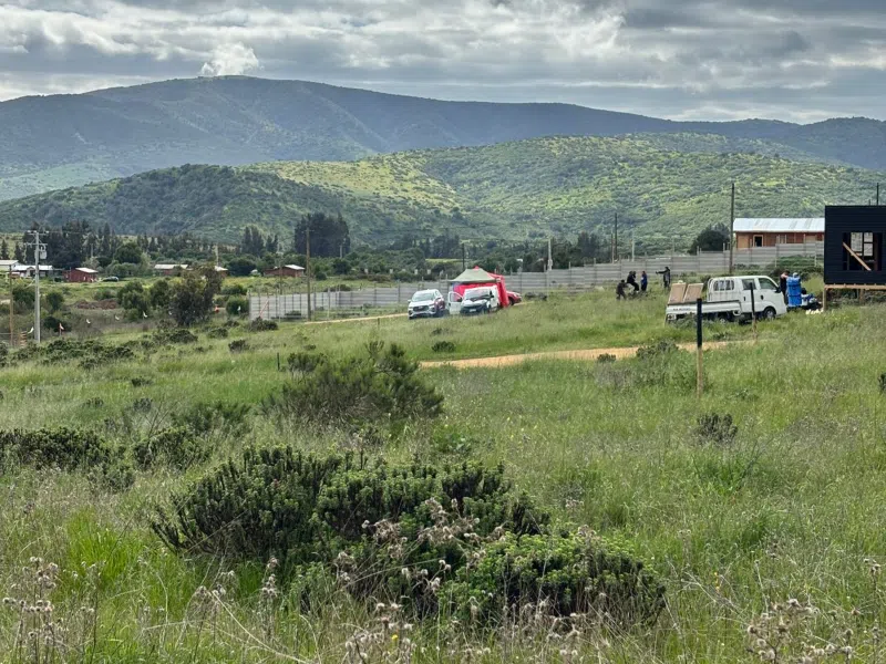 Fundo Los Maitenes 4